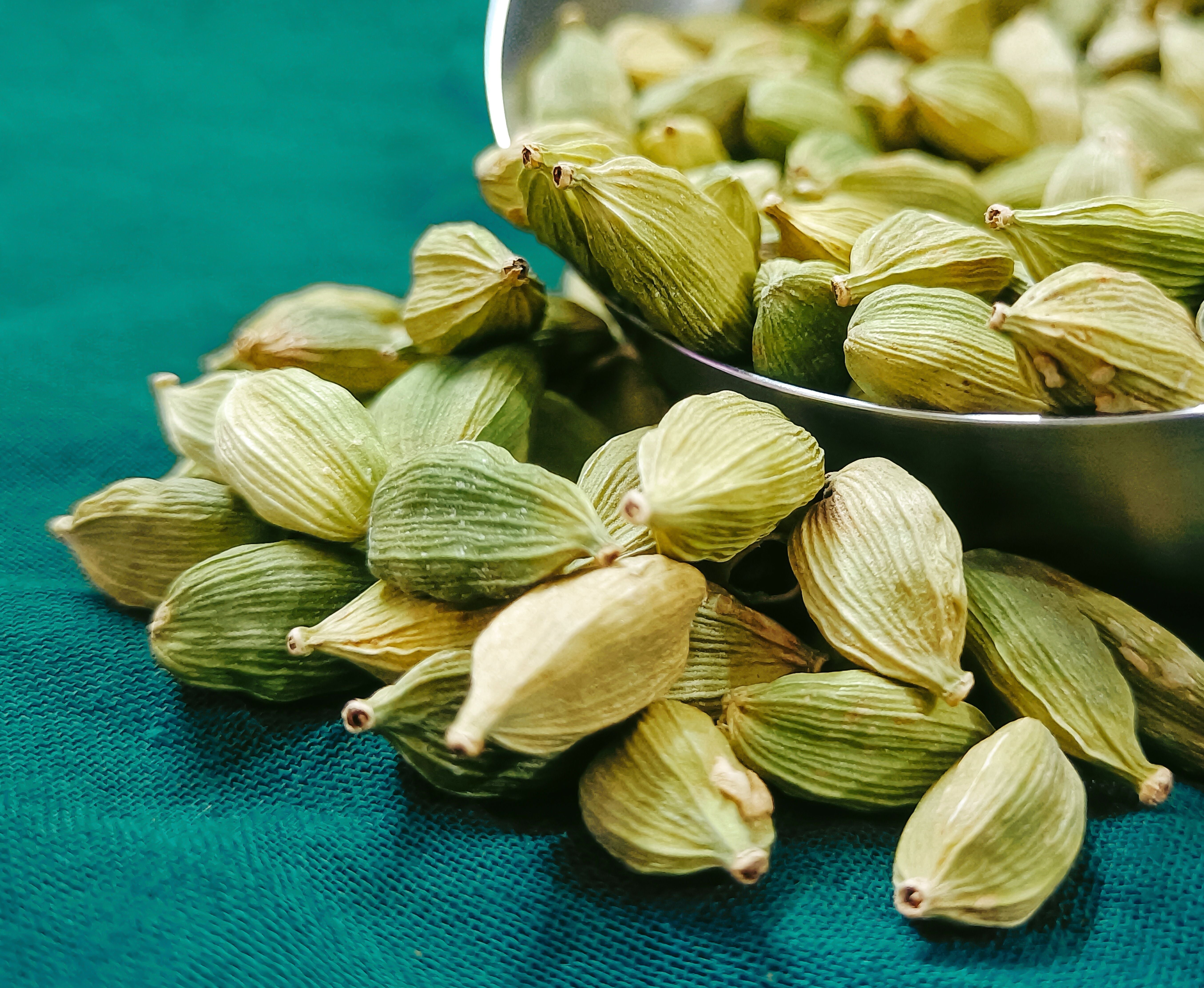 Cardamom Collection
